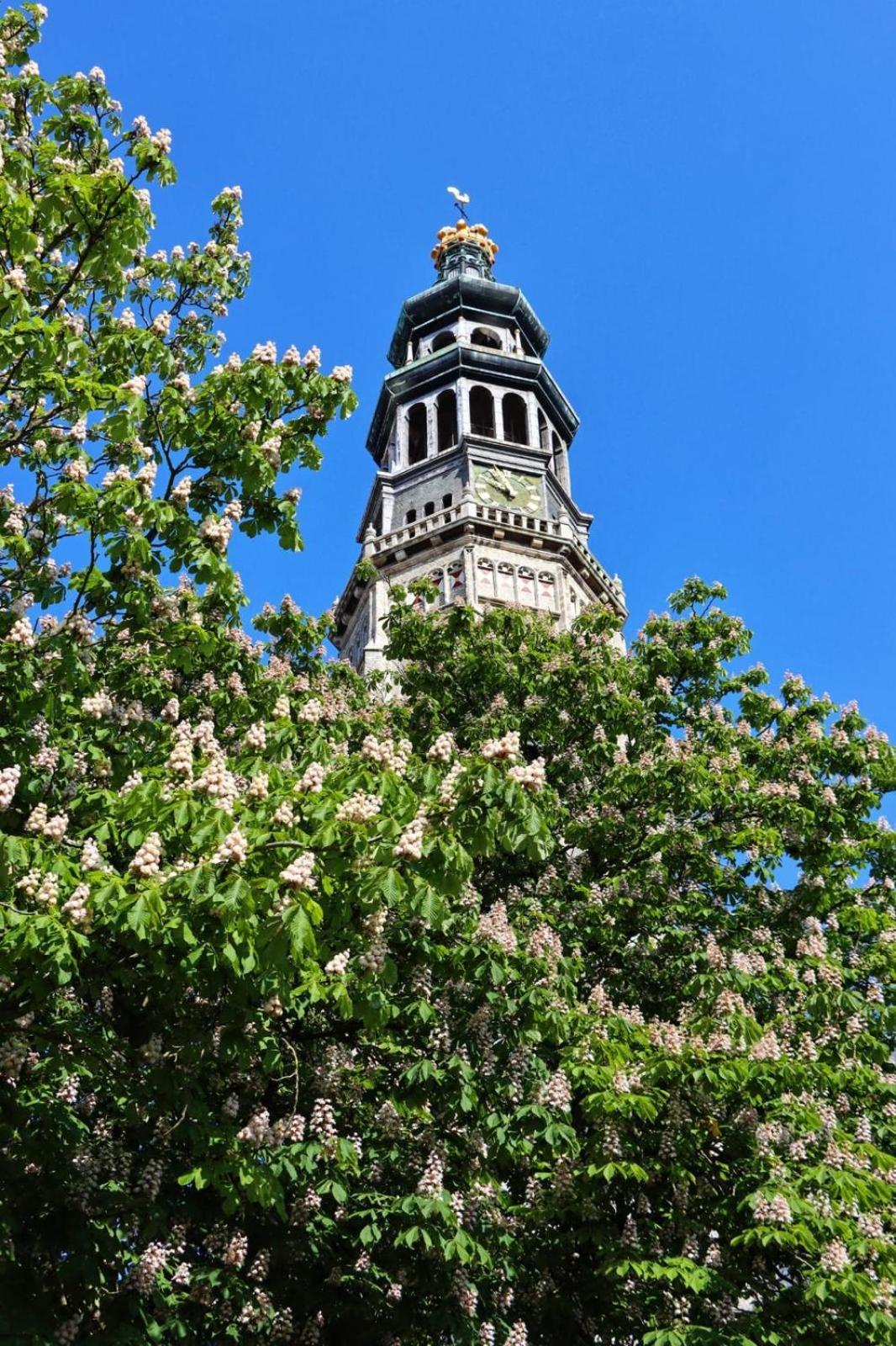 Anno 1706 Apartments Middelburg Kültér fotó